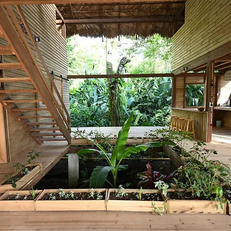 Madre Selva Eco Lodge Nuqui Exterior photo