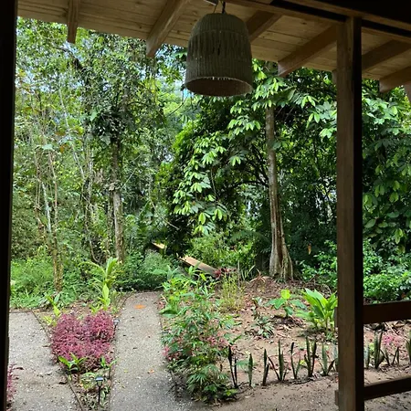 Madre Selva Eco Lodge Nuqui Exterior photo