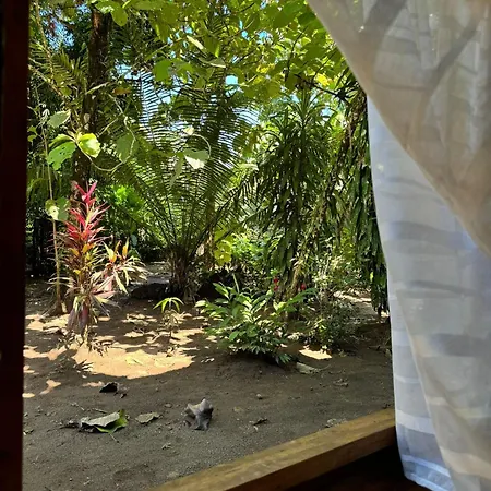 Madre Selva Eco Lodge Nuqui Exterior photo
