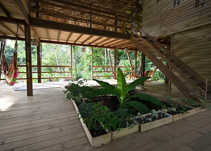Madre Selva Eco Lodge