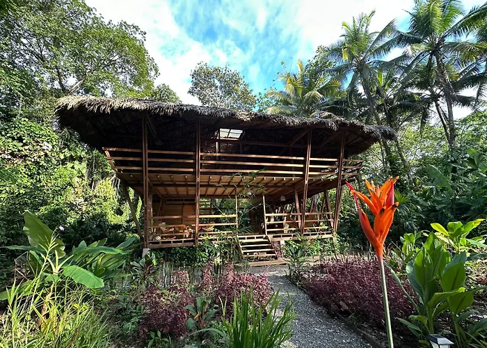 Madre Selva Eco Lodge