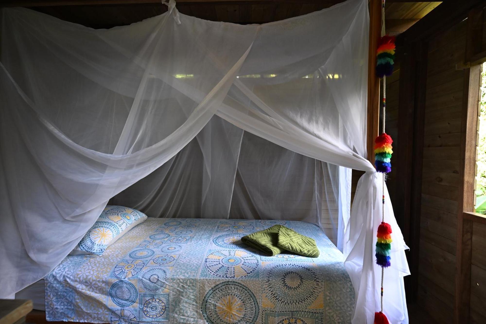 Lodge Madre Selva Eco Nuqui