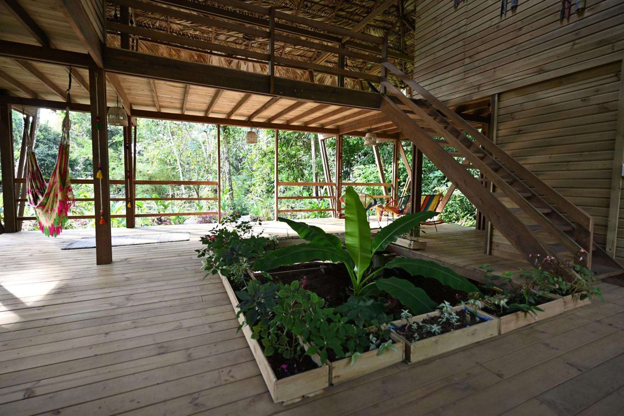 Lodge Madre Selva Eco Nuqui