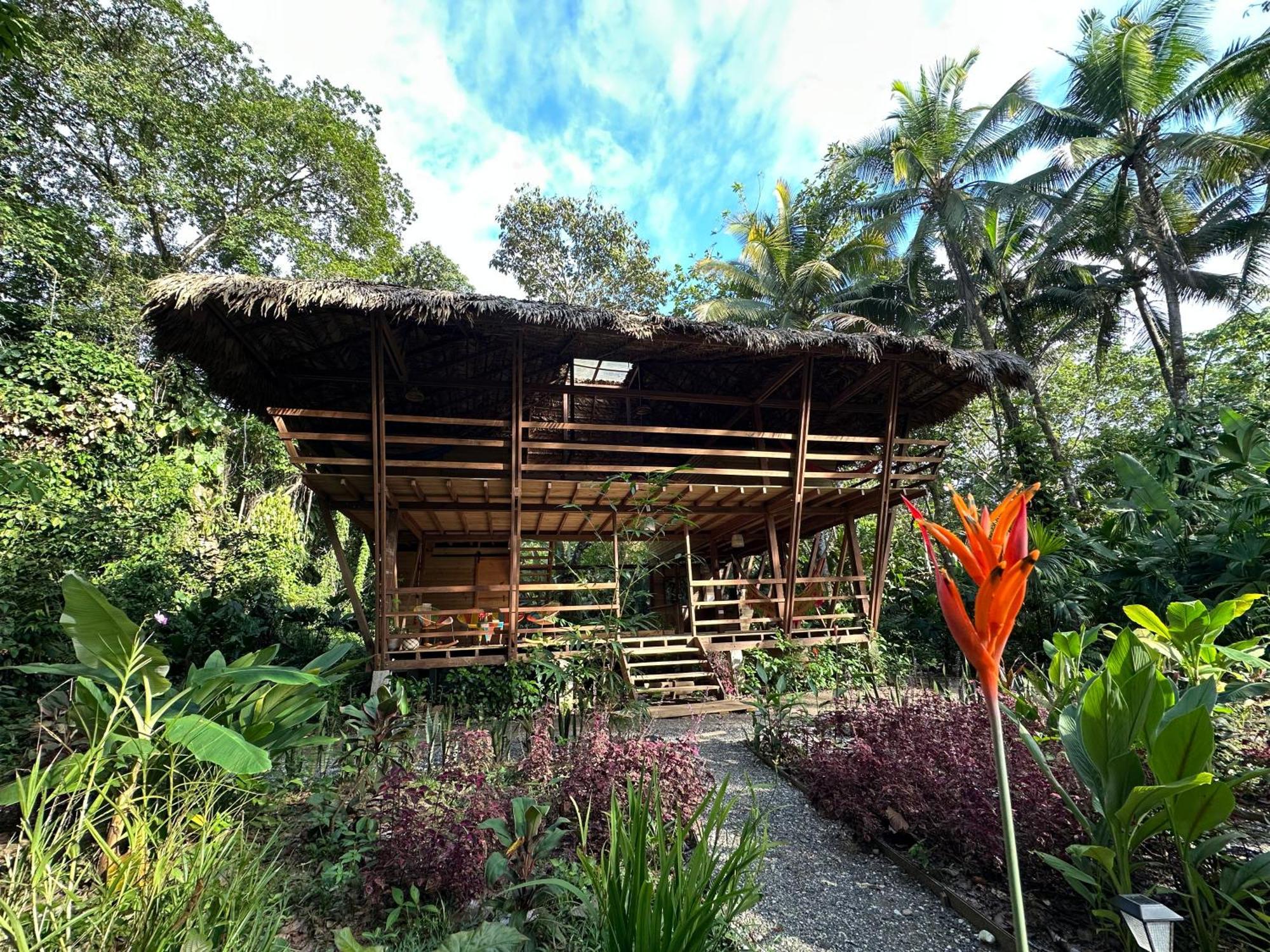 Madre Selva Eco Lodge Nuqui