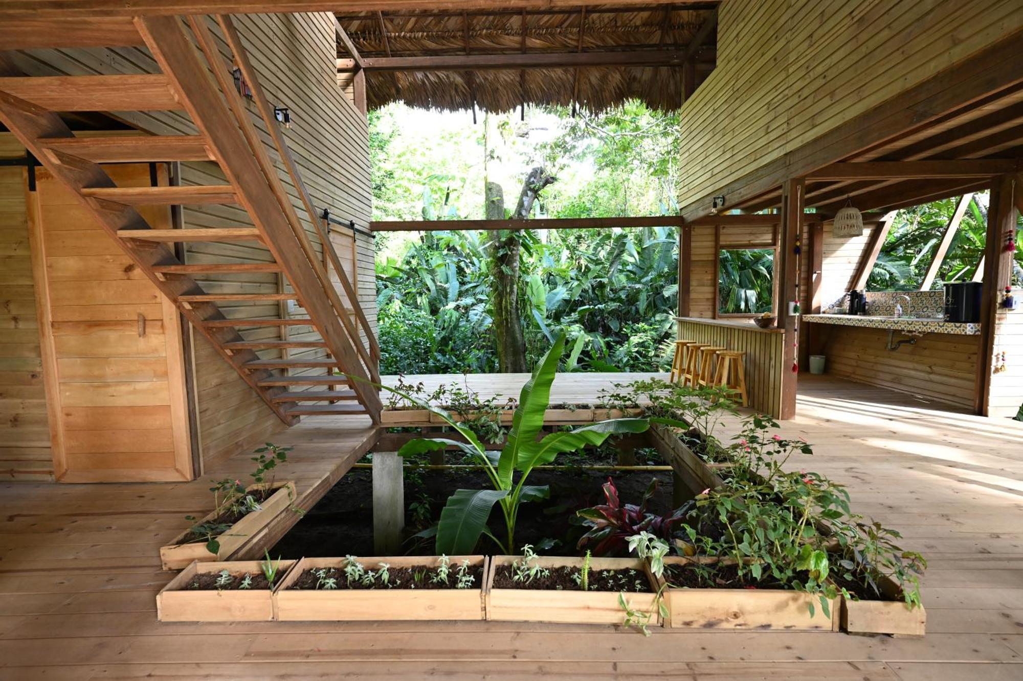 Lodge Madre Selva Eco