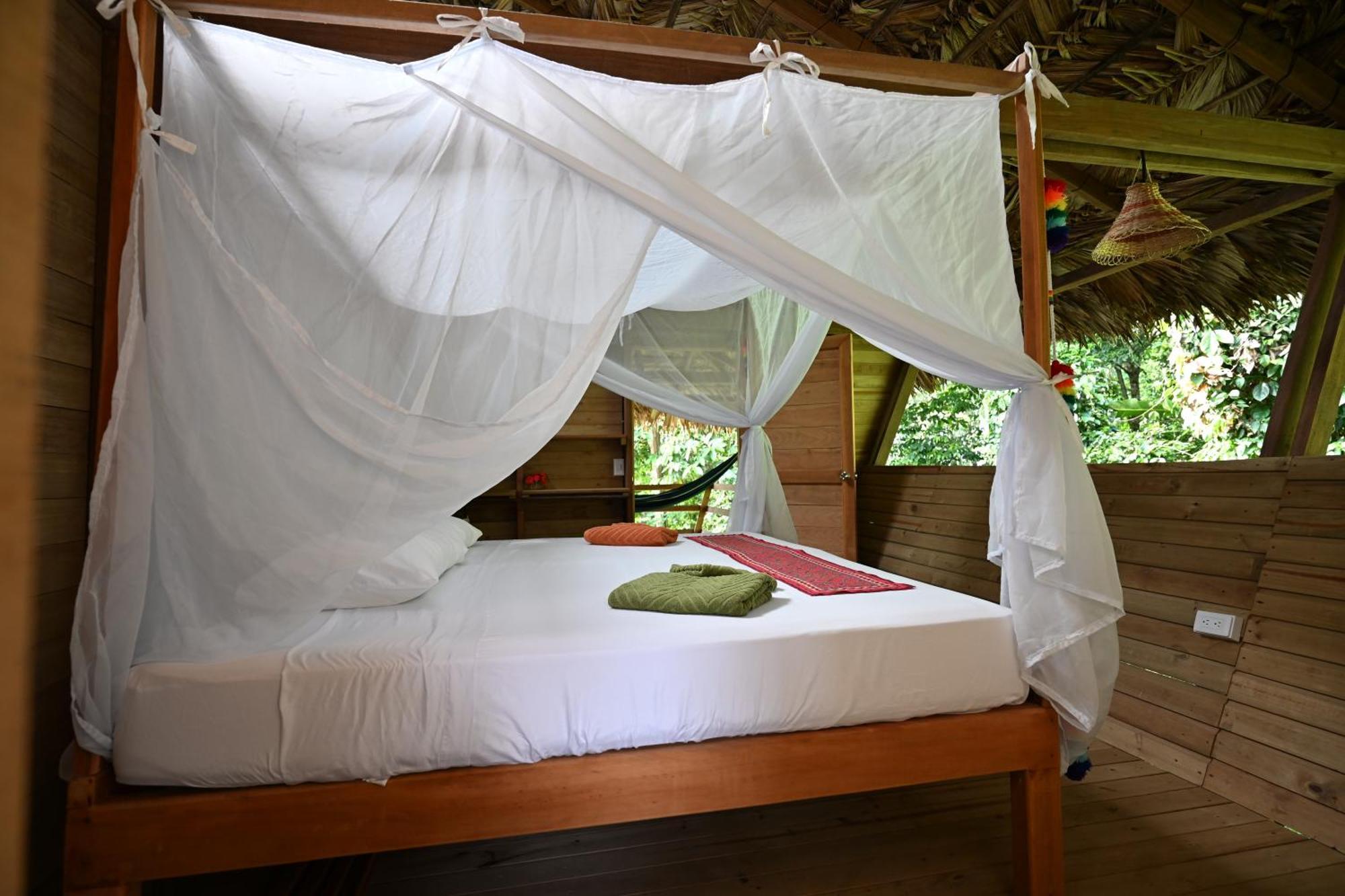 Madre Selva Eco Lodge