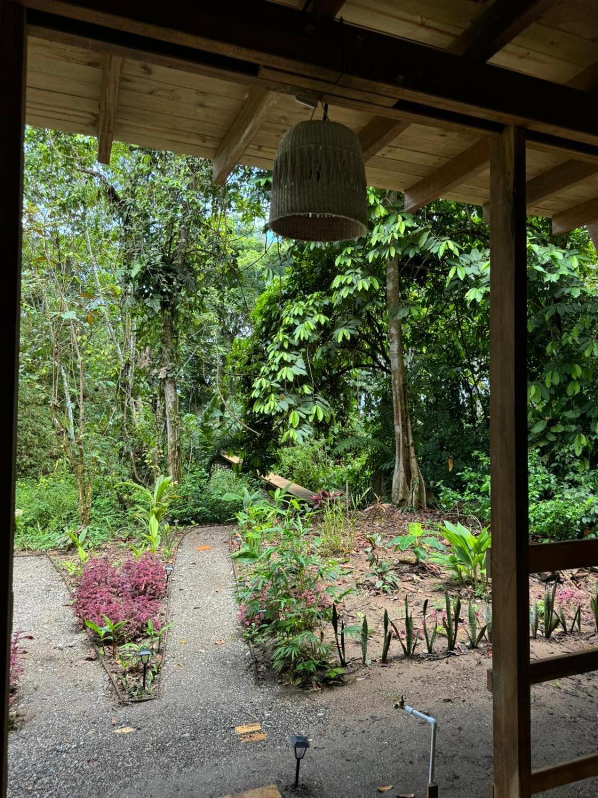 Lodge Madre Selva Eco