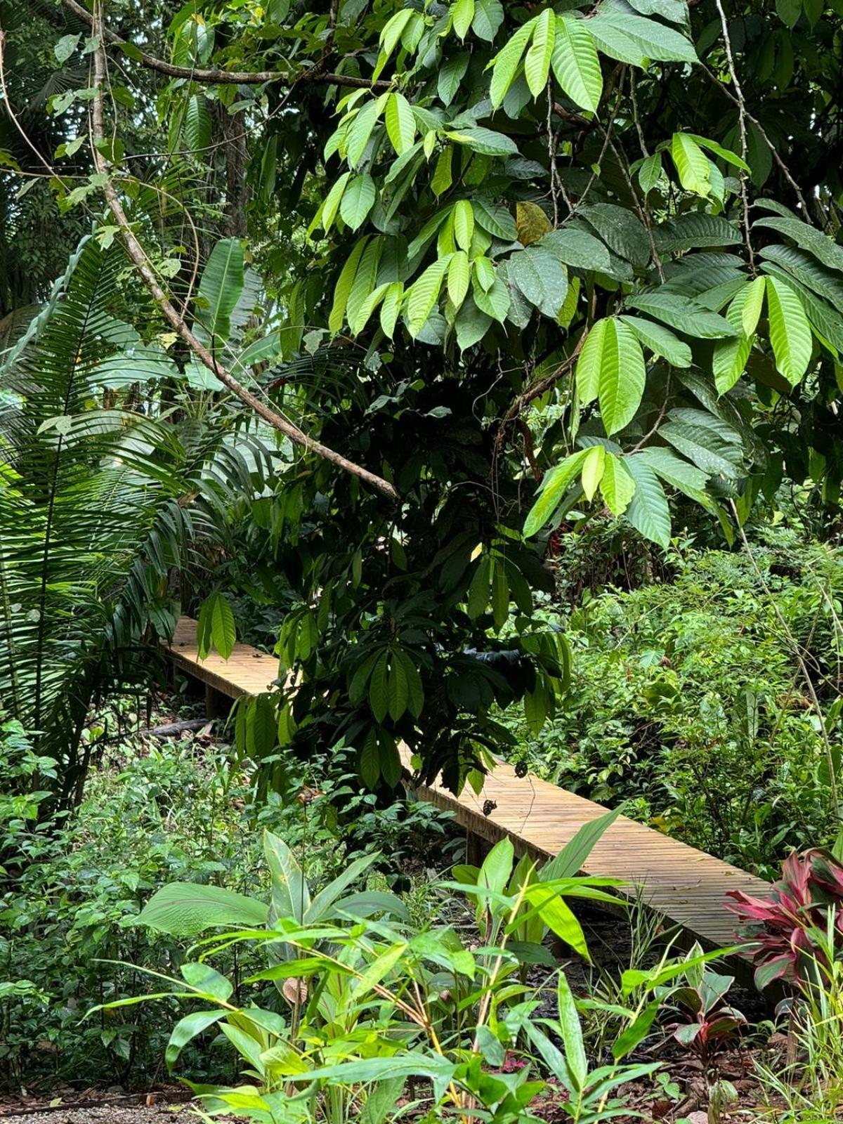Madre Selva Eco Nuqui