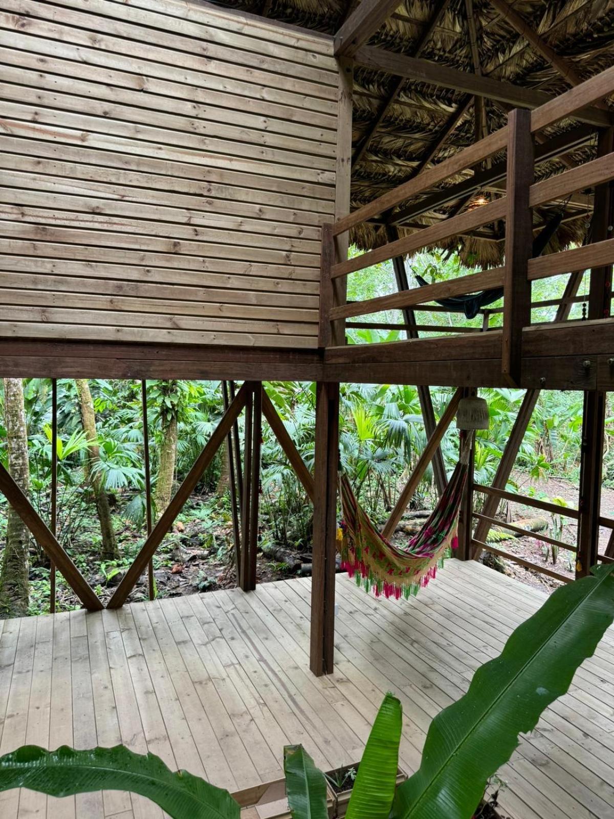 Madre Selva Eco * Nuqui