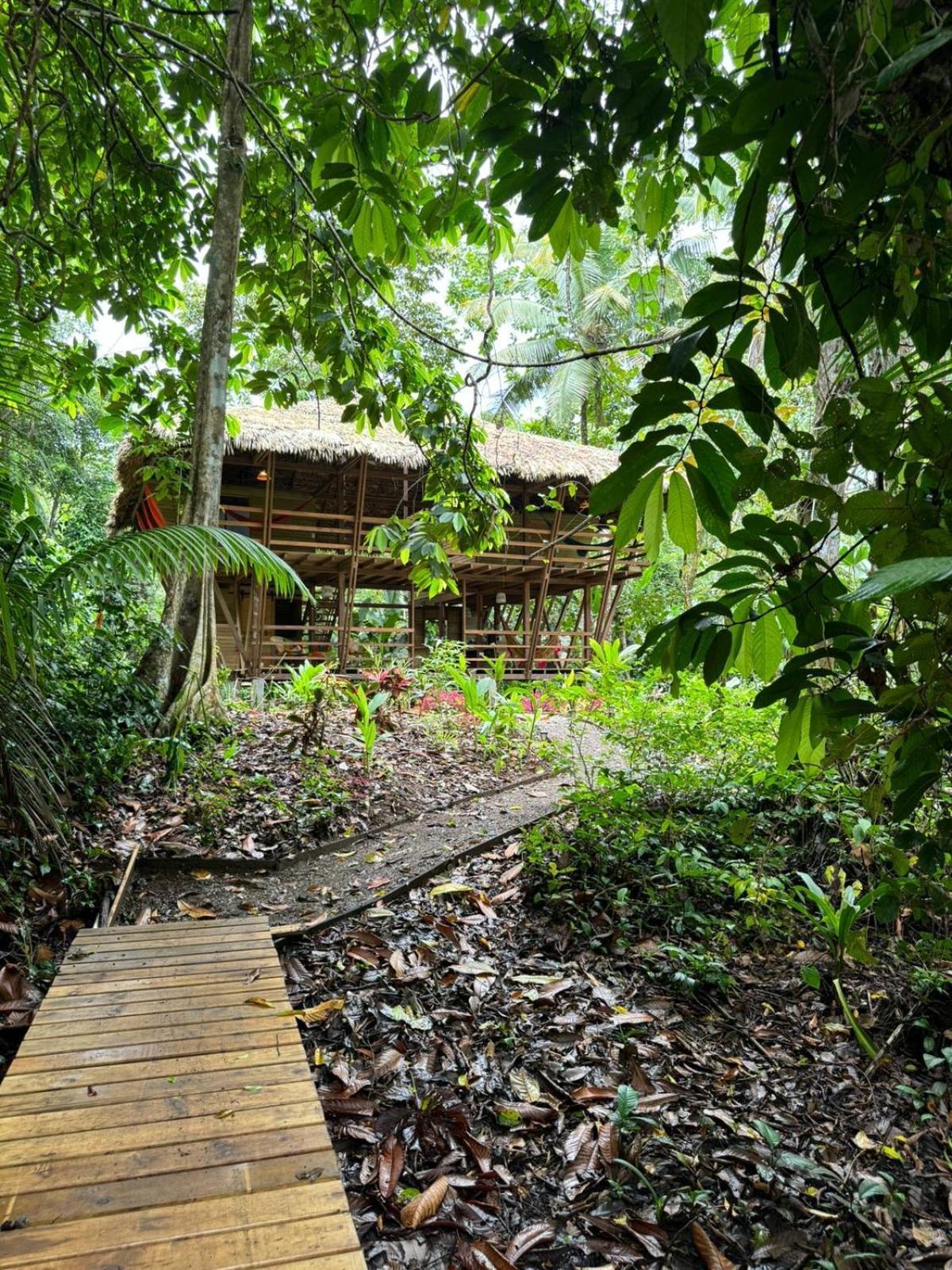 Madre Selva Eco