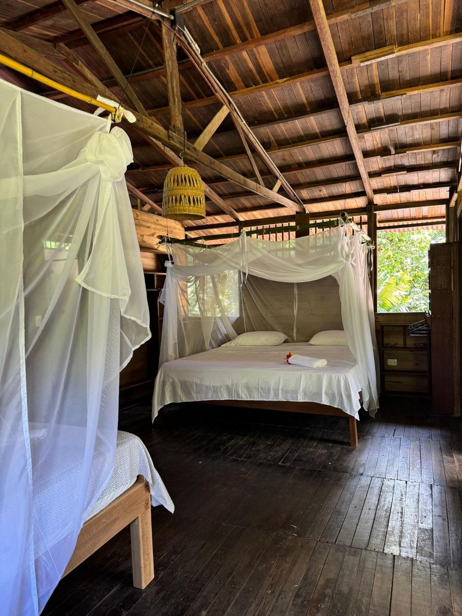 Madre Selva Eco Lodge Nuqui